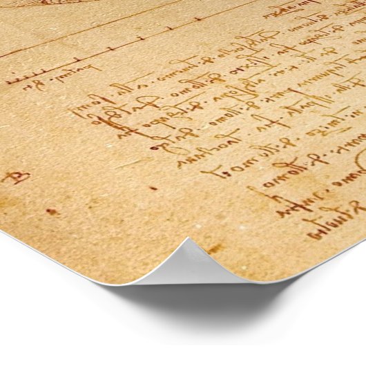 Vitruviaans Man door Leonardo da Vinci Poster (Hoek)