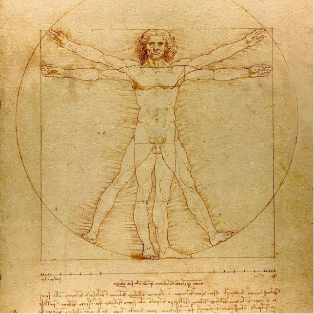 Vitruviaans Man door Leonardo Da Vinci Staand Fotobeeldje (Voorkant)