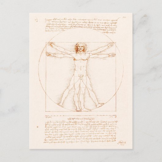 Vitruviaans Man | Leonardo da Vinci | Briefkaart (Voorkant)