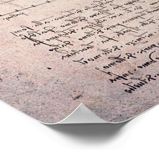 Vitruviaans Man, Leonardo da Vinci Poster (Hoek)