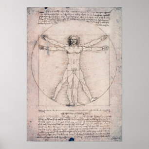 Vitruviaans Man, Leonardo da Vinci Poster