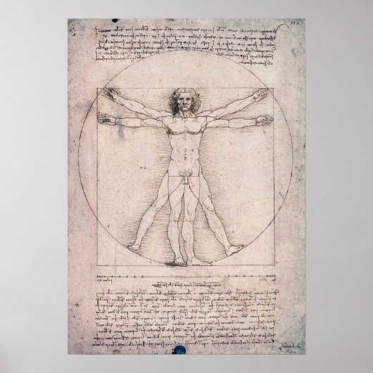 Vitruviaans Man, Leonardo da Vinci Poster (Voorkant)