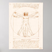 Vitruviaans Man | Leonardo da Vinci | Poster (Voorkant)