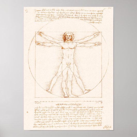 Vitruviaans Man | Leonardo da Vinci | Poster (Voorkant)