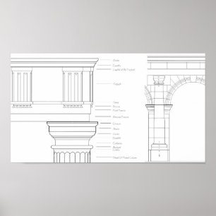Vitruvian - Gegevens Poster