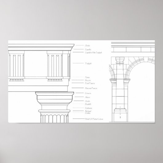 Vitruvian - Gegevens Poster (Voorkant)