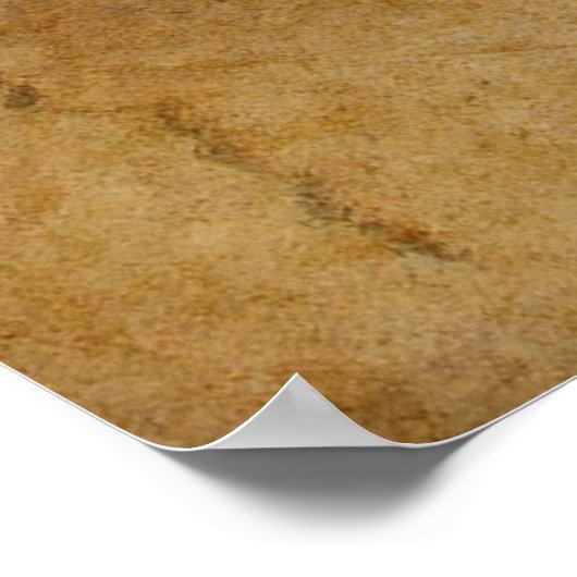 VITRUVIAN MAN Leonardo Da Vinci Art Poster (Hoek)