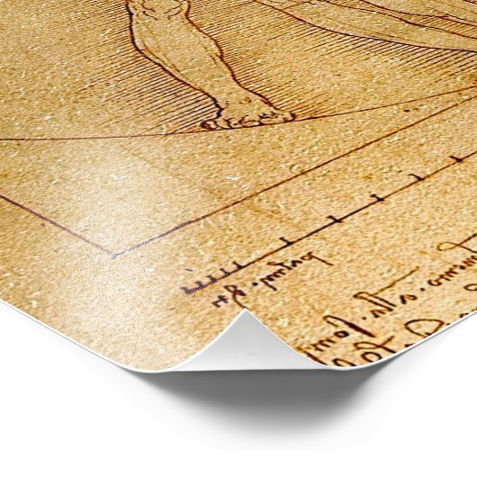 Vitruvian Man-Leonardo Da Vinci Foto Afdruk (Hoek)