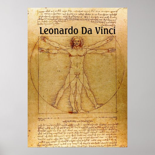 Vitruvian Man-Leonardo Da Vinci Poster (Voorkant)
