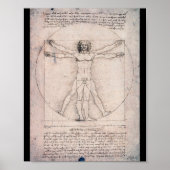Vitruvian ManVitruvian Man, Leonardo da Vinci Poster (Voorkant)