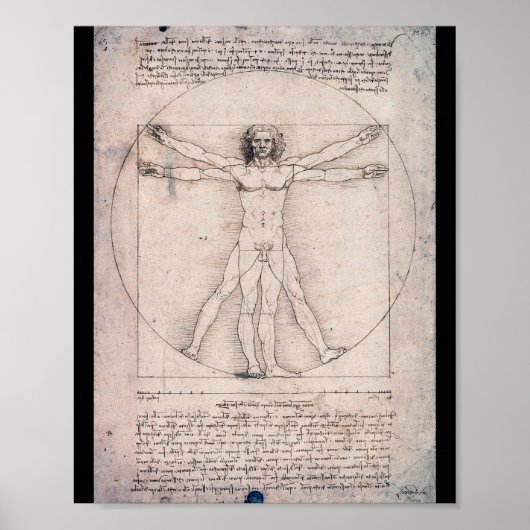 Vitruvian ManVitruvian Man, Leonardo da Vinci Poster (Voorkant)