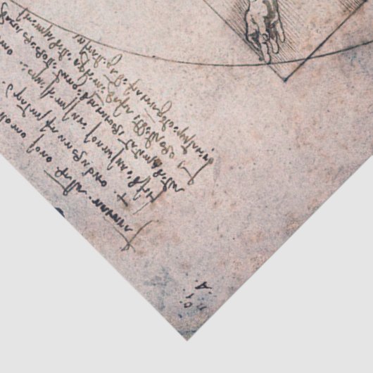 Vitruvian ManVitruvian Man, Leonardo da Vinci Tissuepapier (Detail)