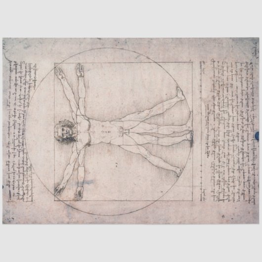 Vitruvian ManVitruvian Man, Leonardo da Vinci Tissuepapier (Voorkant)