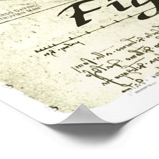 Vitruvian MMA Man Poster (Hoek)