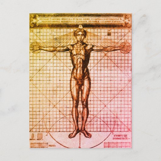 Vitruvius Man (Vitruvius: De architectura) Postcar Briefkaart (Voorkant)