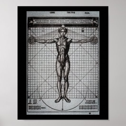 Vitruvius Man (Vitruvius: De architectura) Poster (Voorkant)