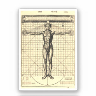Vitruvius Man (Vitruvius: De architectura) Sticker