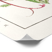 Vitus en Stokesia Flowers door Tanigami Konan, Poster (Hoek)