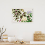 Vitus en Stokesia Flowers door Tanigami Konan, Poster (Keuken)