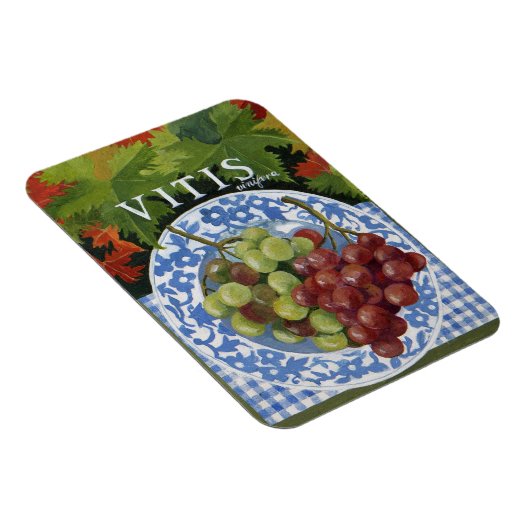 Vitus Magneet (Rechterzijde)