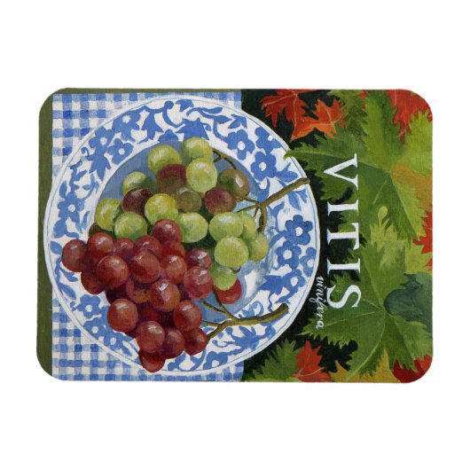 Vitus Magneet (Horizontaal)