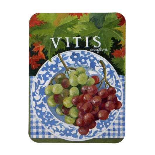 Vitus Magneet (Verticaal)