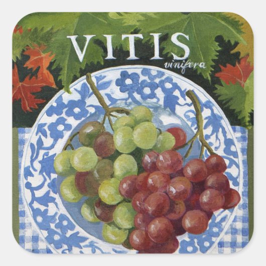 Vitus Vierkante Sticker (Voorkant)