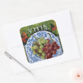 Vitus Vierkante Sticker (Envelop)