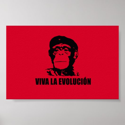 Viva La Evolucion Poster (Voorkant)