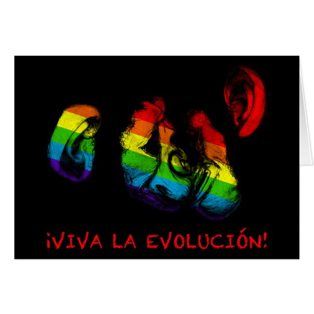 viva la evolucion , regenboogchimps (Voorkant Horizontaal)