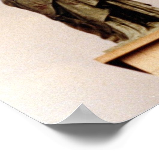 Viva La Liberty Poster (Hoek)