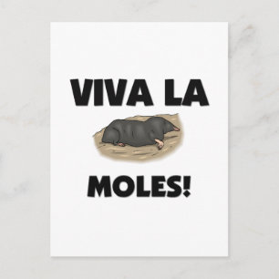 Viva La Moles Briefkaart
