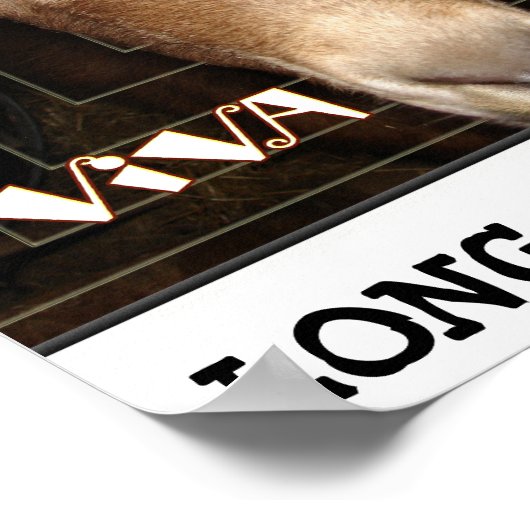 VIVA LAMANCHA, LEEF LANG DE GOAT. POSTER (Hoek)