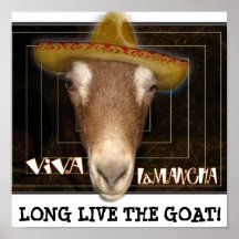 VIVA LAMANCHA, LEEF LANG DE GOAT.
