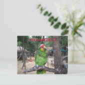 Viva Mexico Briefkaart (Staand voorkant)