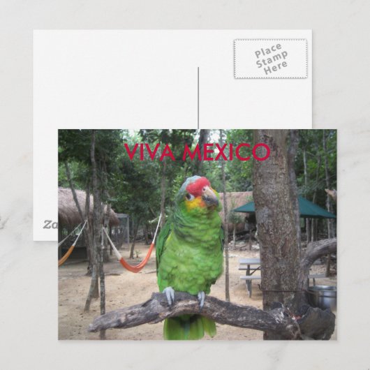 Viva Mexico Briefkaart (Voorkant / Achterkant)