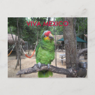 Viva Mexico Briefkaart