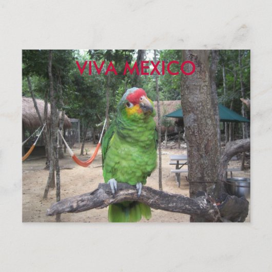 Viva Mexico Briefkaart (Voorkant)