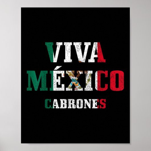 Viva Mexico Cabrones Funny Cinco De Mayo Mexican F Poster (Voorkant)