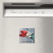Viva Mexico. Magneet (Insitu (Vaatwasser))