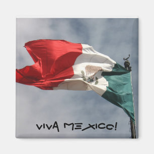 Viva Mexico. Magneet