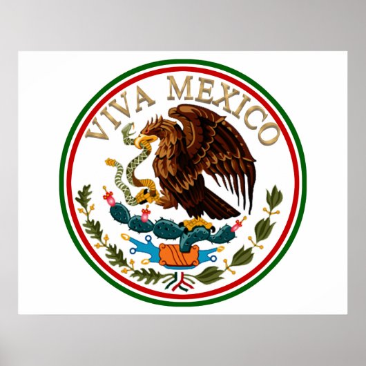Viva Mexico Mexican Flag Icon w/Gold Text Poster (Voorkant)