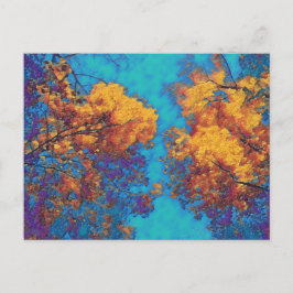 Vivid Autumn Trees Briefkaart