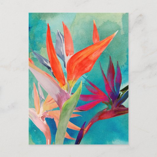 Vivid Birds of Paradise Briefkaart (Voorkant)