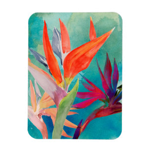 Vivid Birds of Paradise Magneet