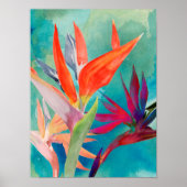 Vivid Birds of Paradise Poster (Voorkant)