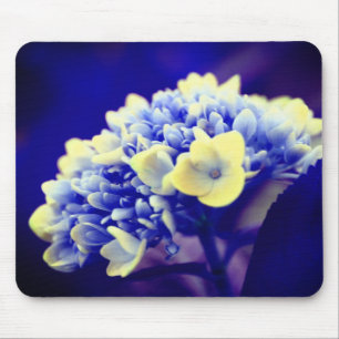 Vivid Blue Hydrangea Flower Muismat