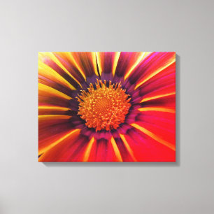 Vivid Color Gerber Daisy Canvas Afdruk