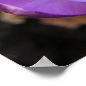 Vivid Crocus Print (Hoek)