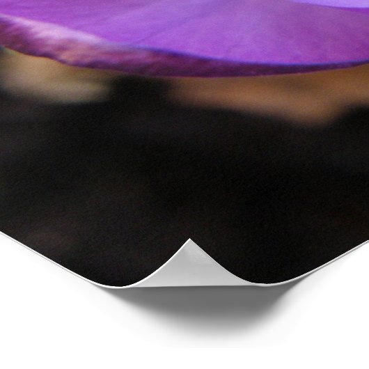 Vivid Crocus Print (Hoek)